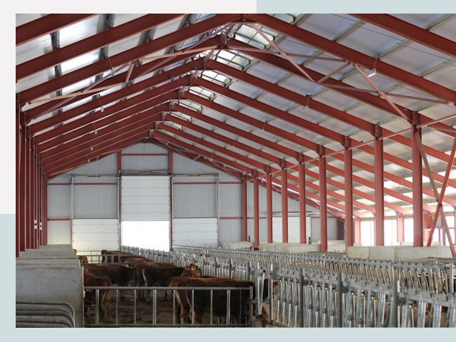 Строительство коровников в Красноуфимске